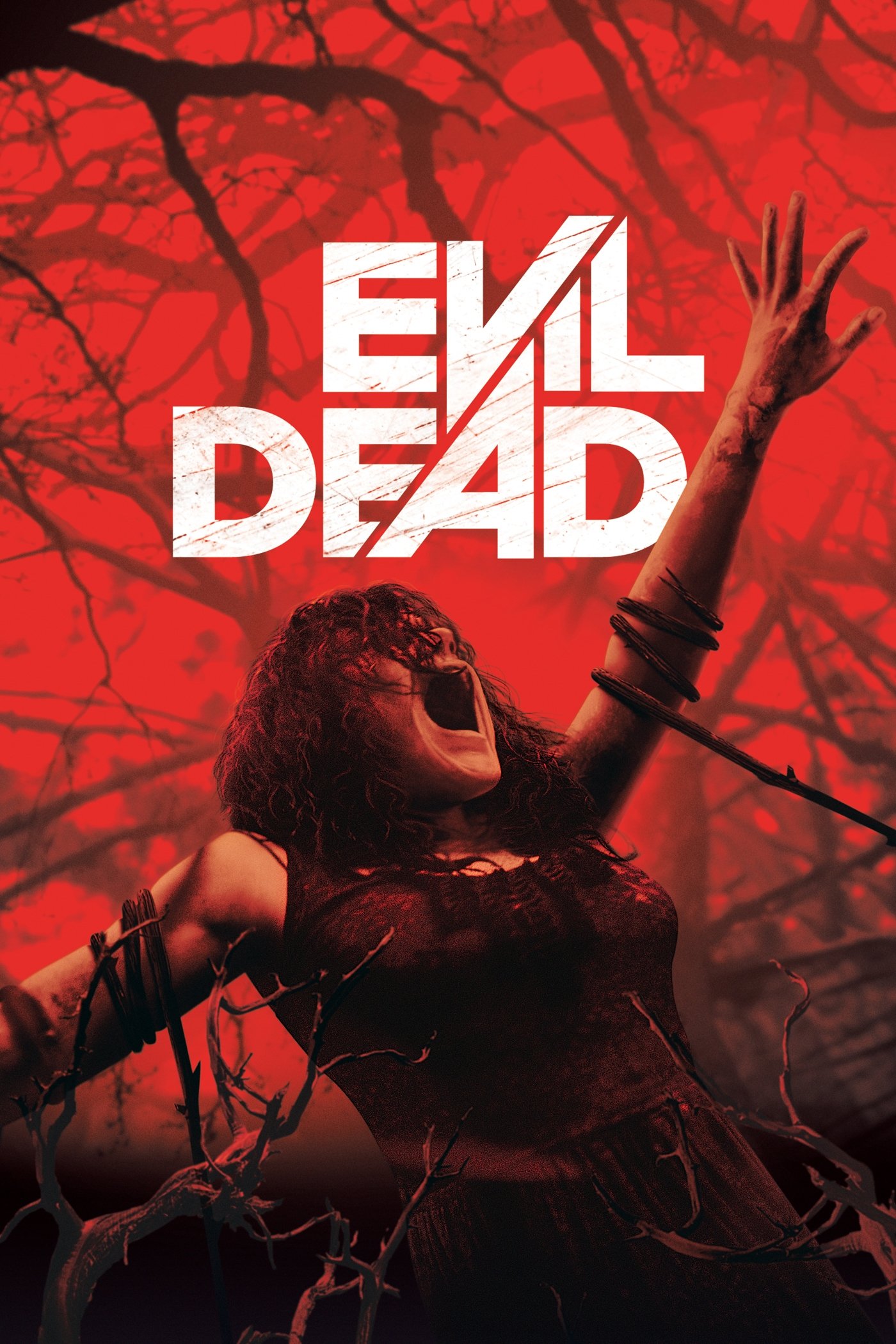 Evil Dead photo