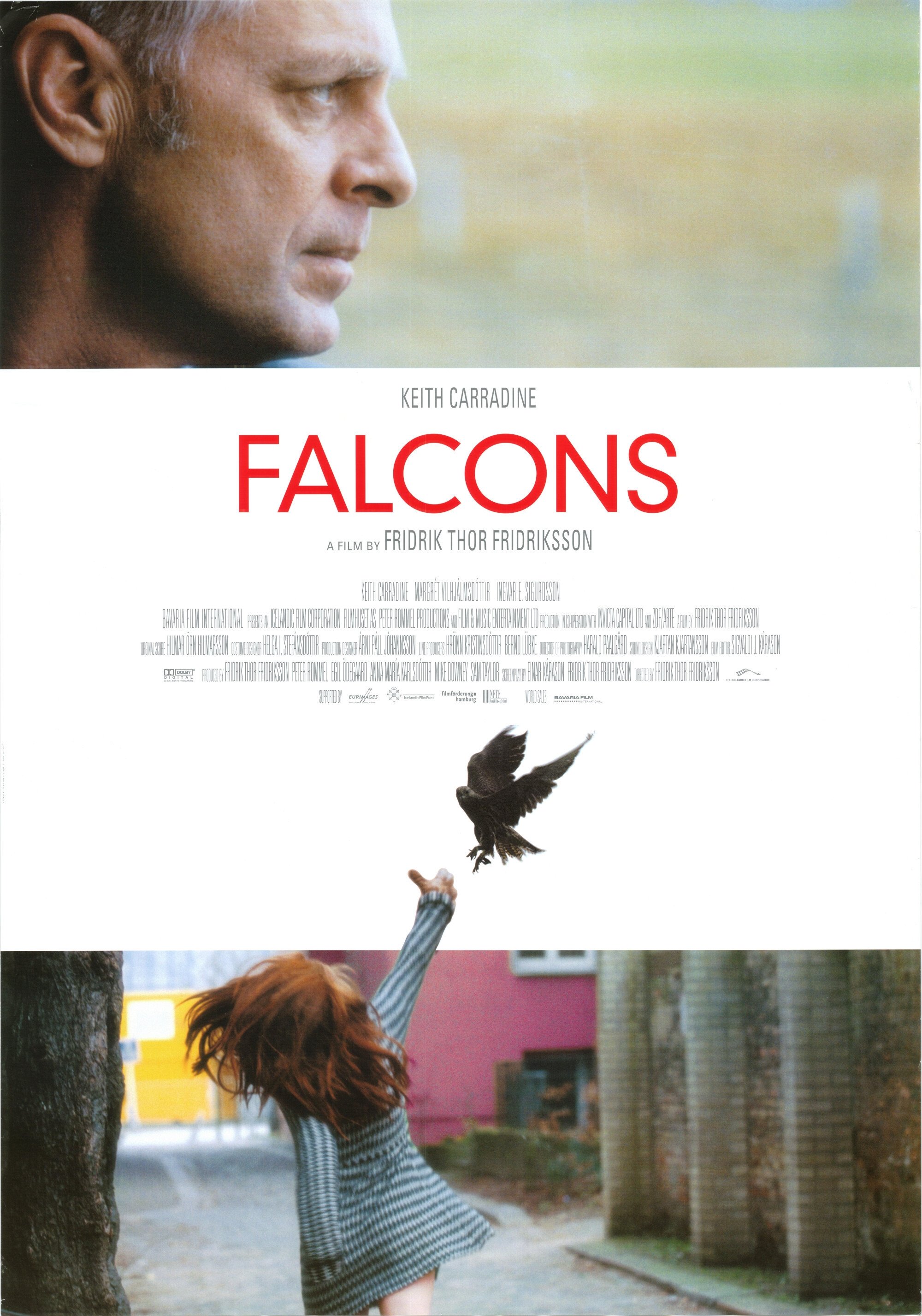 Falcons photo