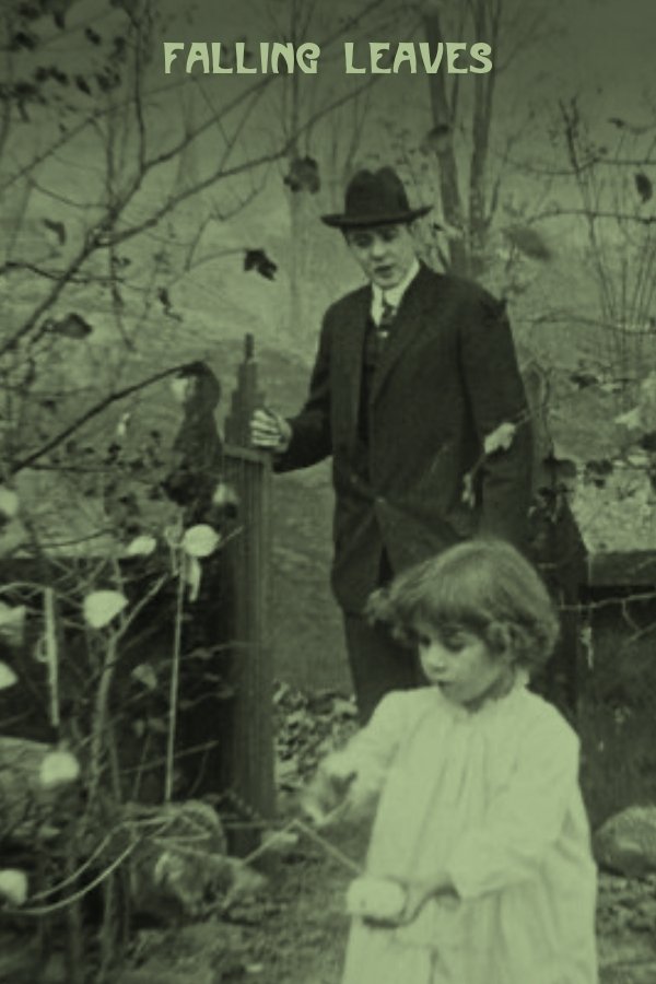 Falling Leaves photo