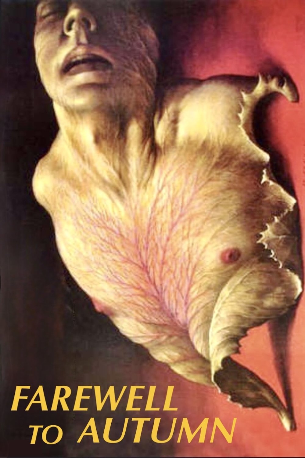 Farewell to Autumn photo