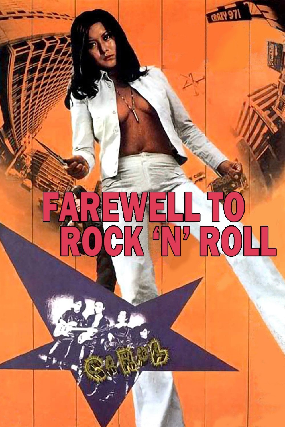 Farewell to Rock'n Roll photo