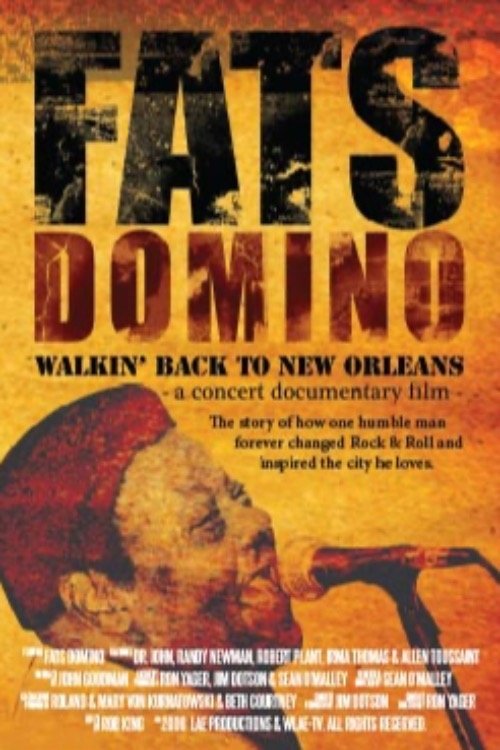 Fats Domino: Walkin' Back to New Orleans photo