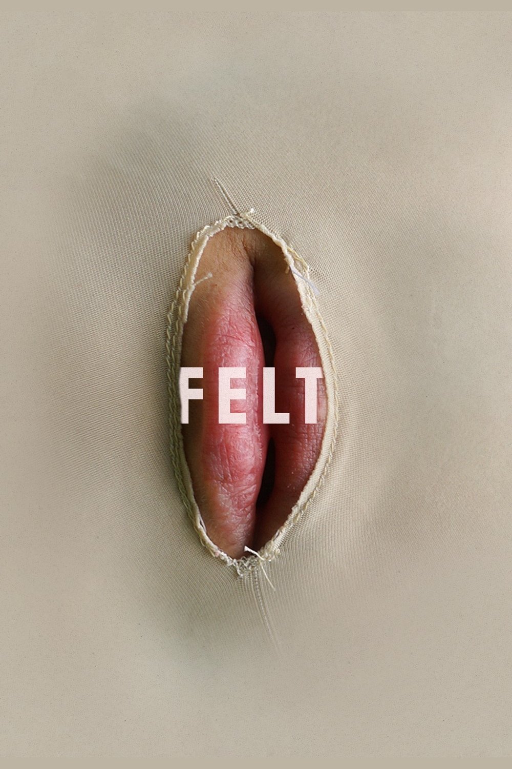 Felt photo