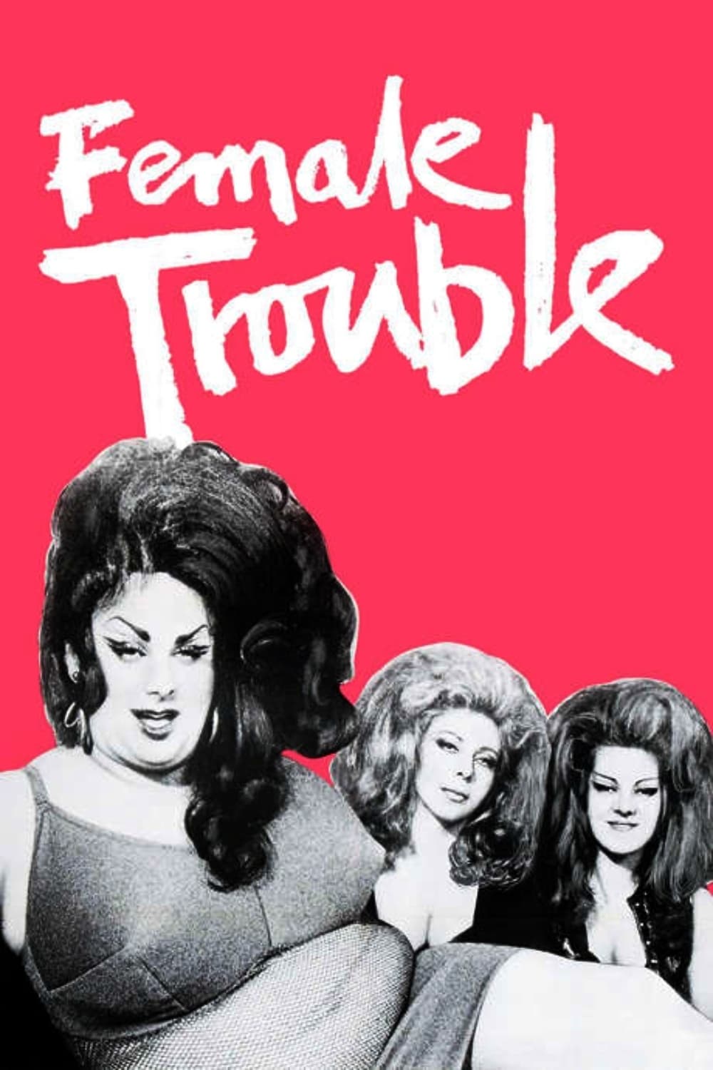 Female Trouble photo