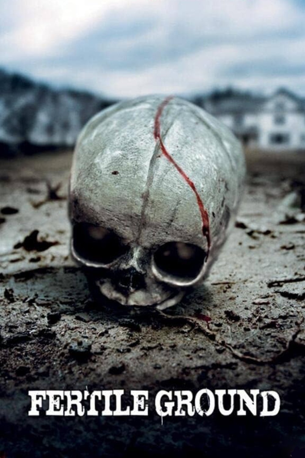 Fertile Ground photo