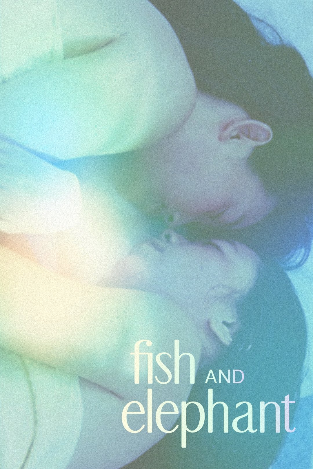 Fish and Elephant photo