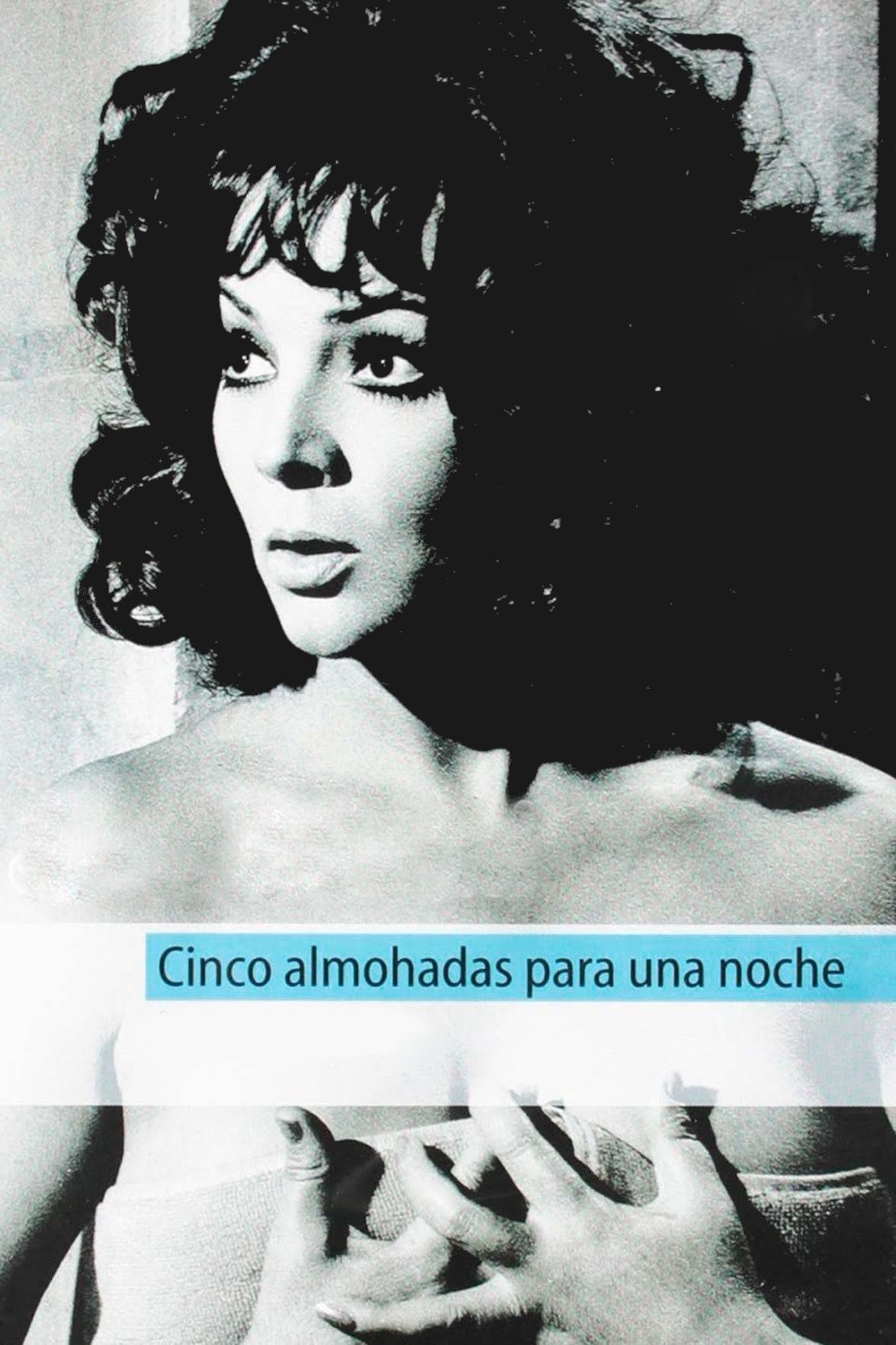 Five Pillows for One Night photo