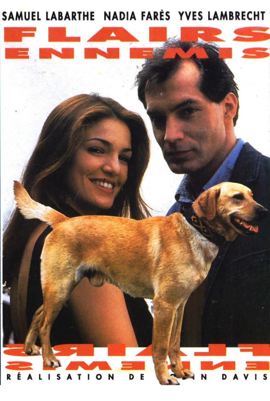 Flairs ennemis photo