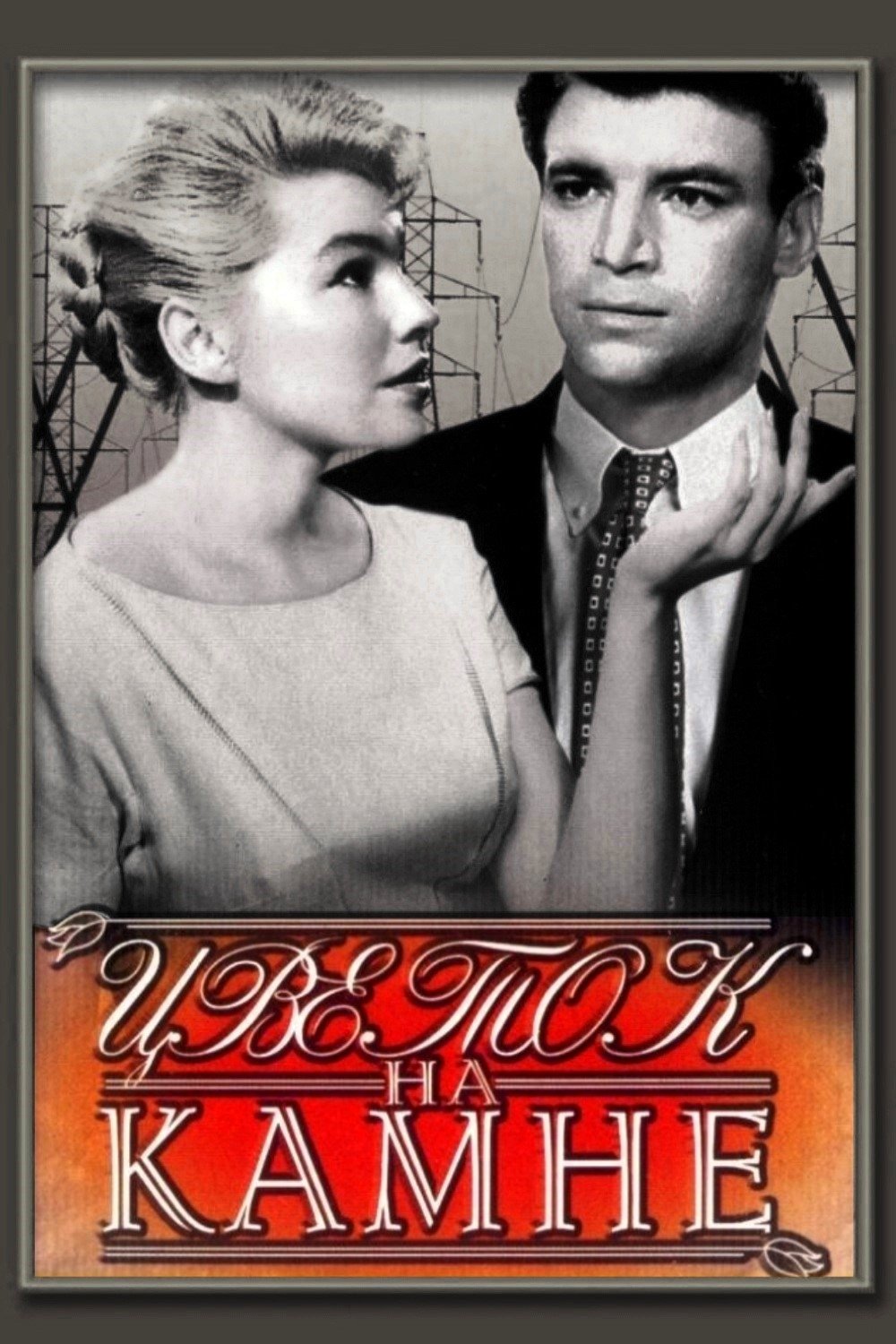 Flower on the Stone photo