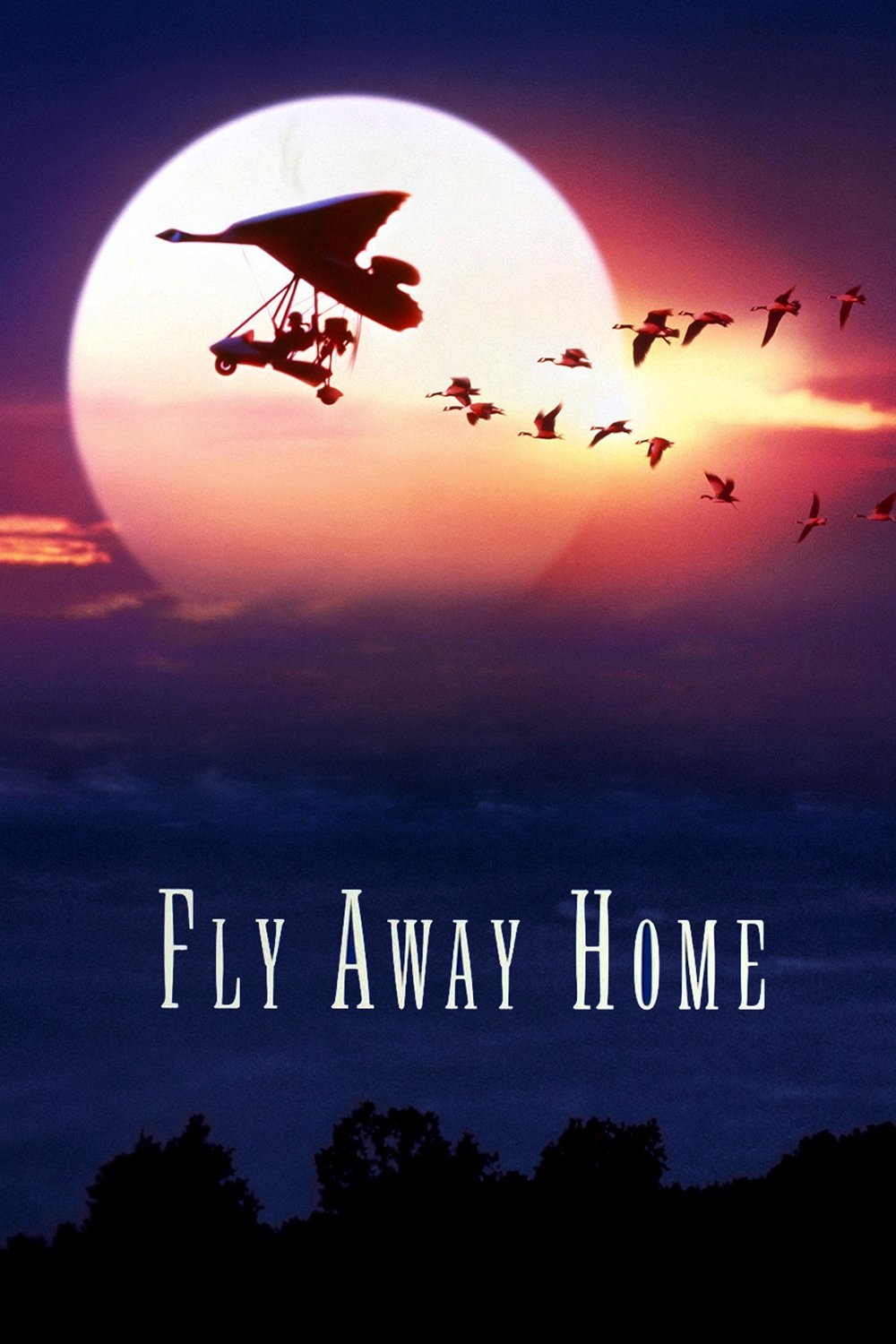 Fly Away Home photo