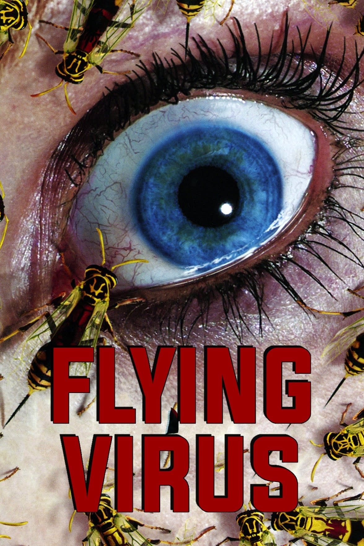 Flying Virus photo