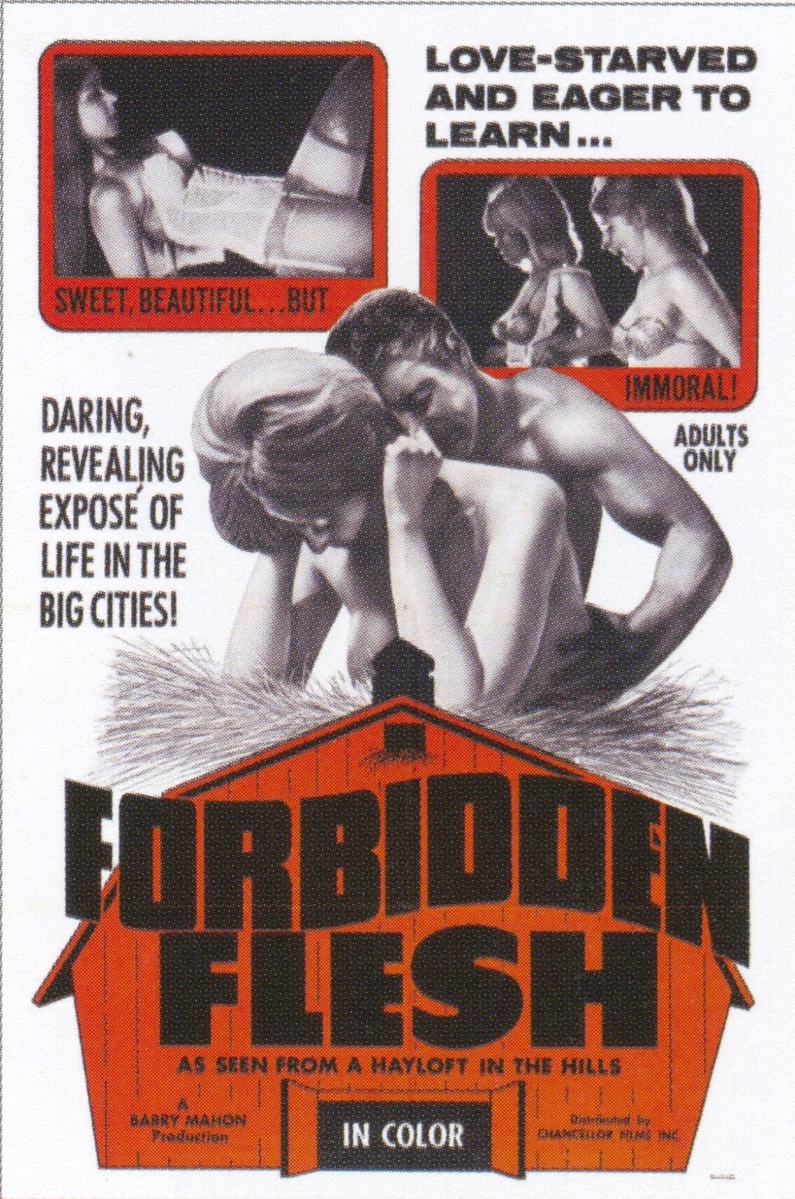 Forbidden Flesh photo