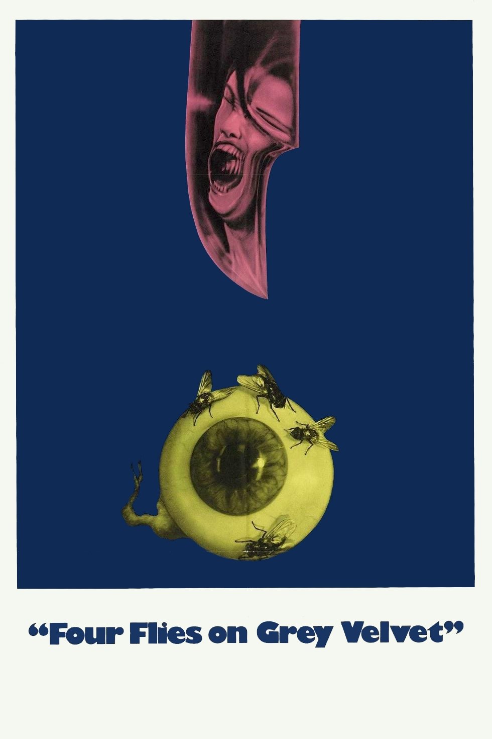 Four Flies on Grey Velvet photo