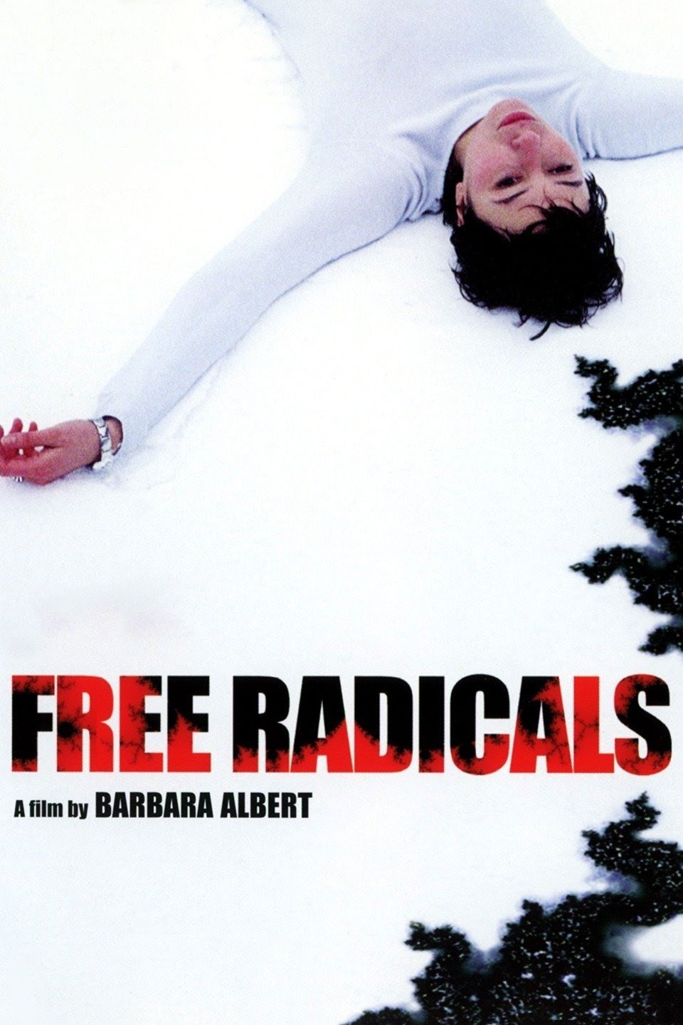 Free Radicals photo