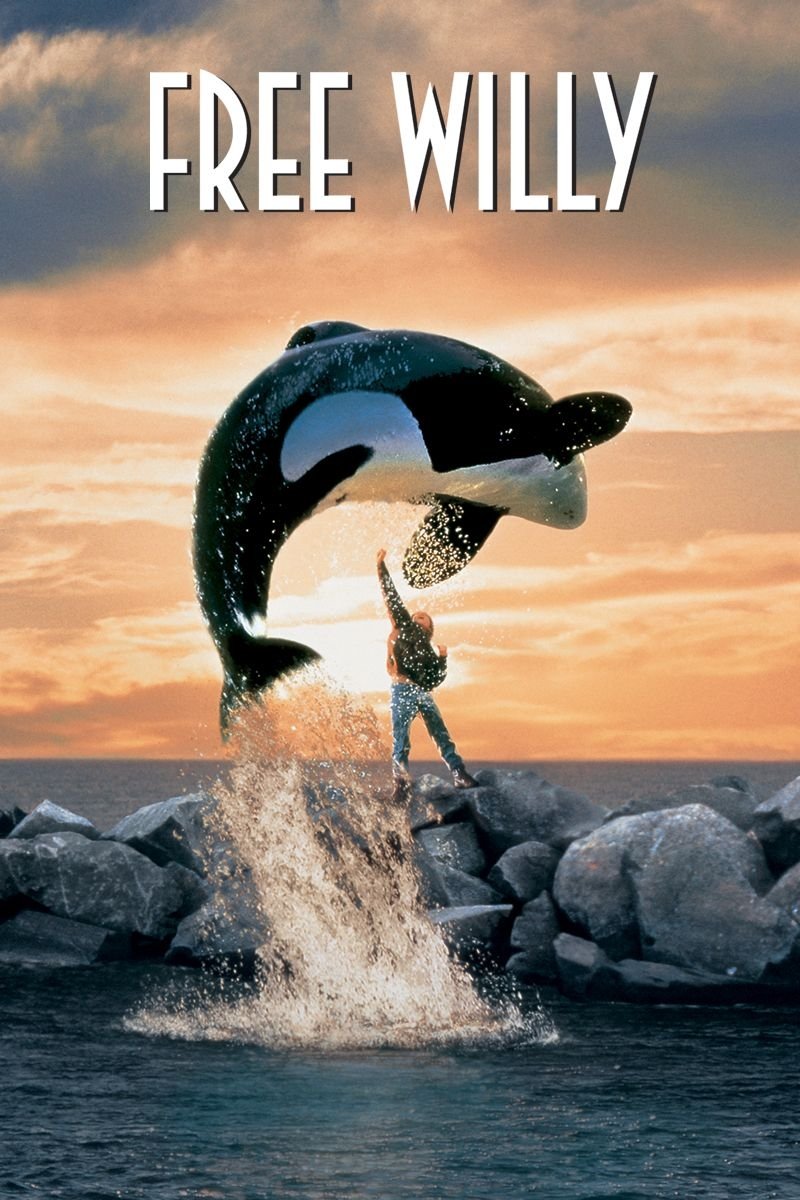 Free Willy photo