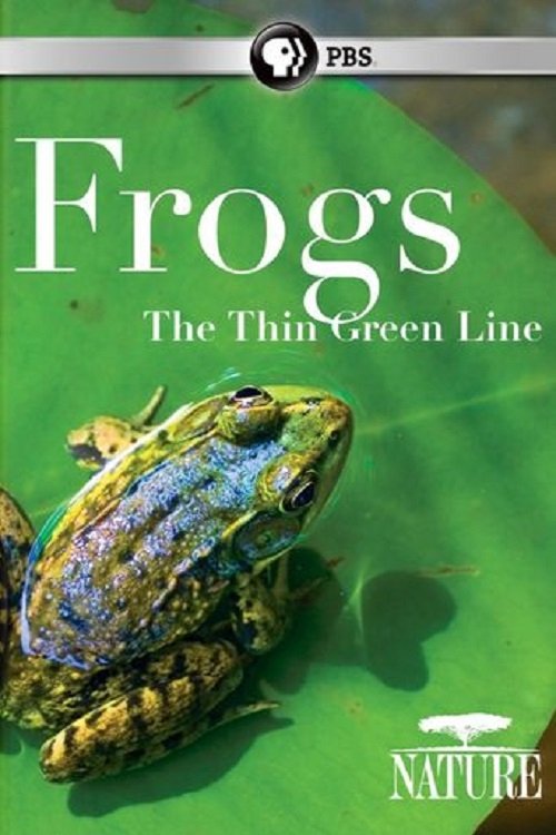 Frogs: The Thin Green Line photo