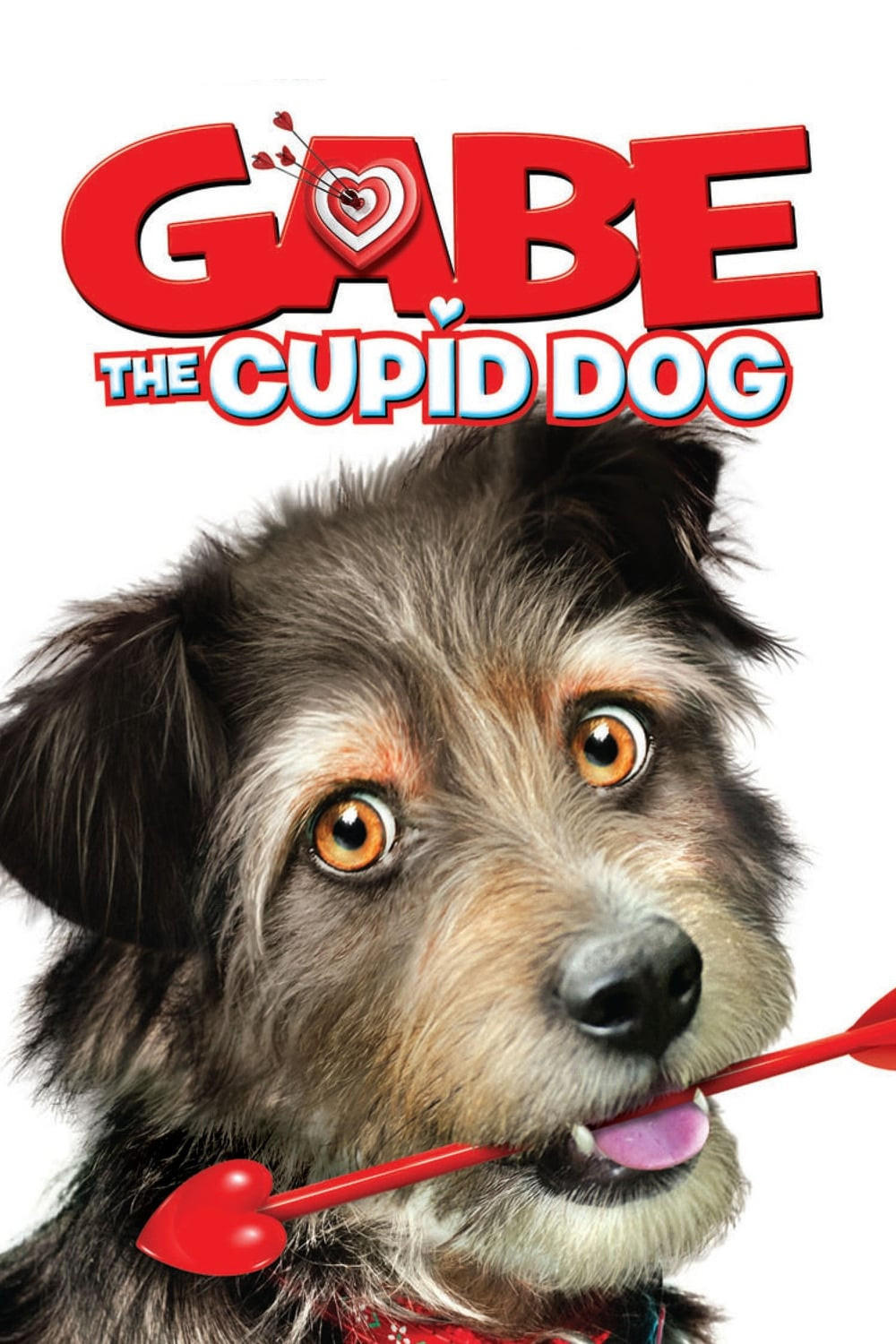 Gabe the Cupid Dog photo