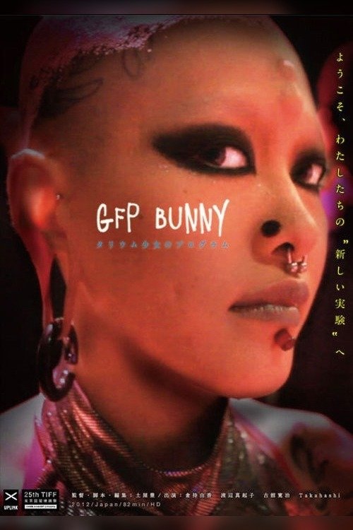 GFP BUNNY photo