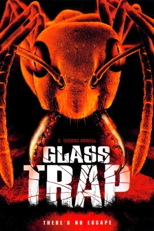 Glass Trap photo