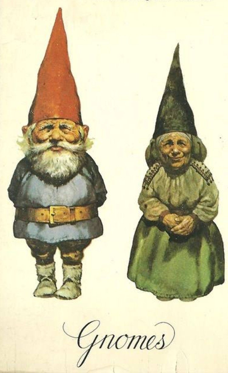 Gnomes photo