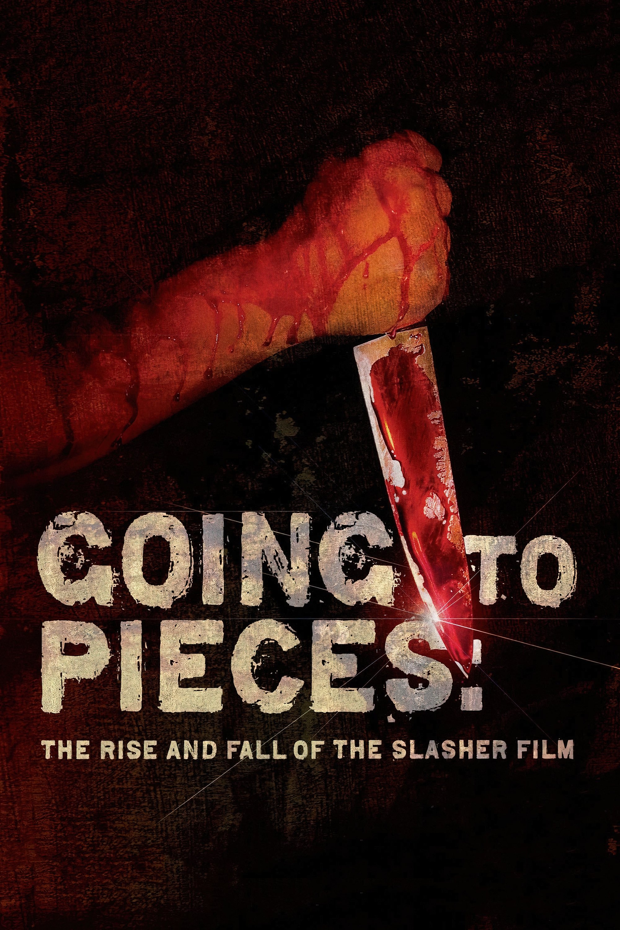 Going to Pieces: The Rise and Fall of the Slasher Film photo