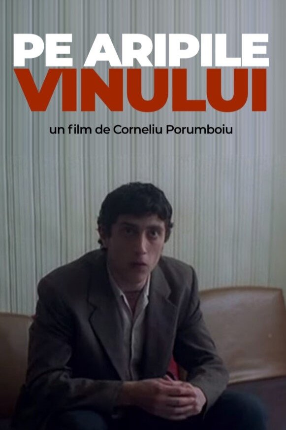 Gone with the Wine photo