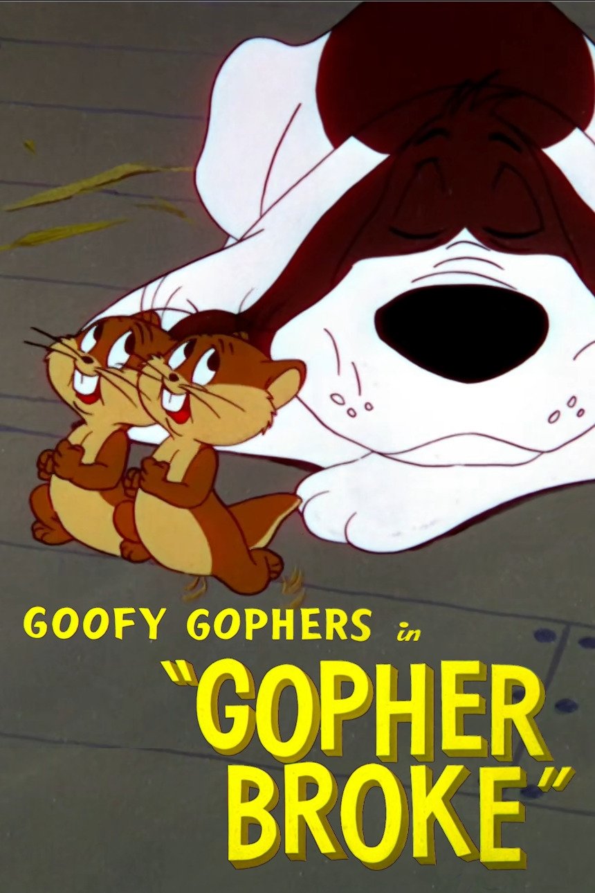 Gopher Broke photo