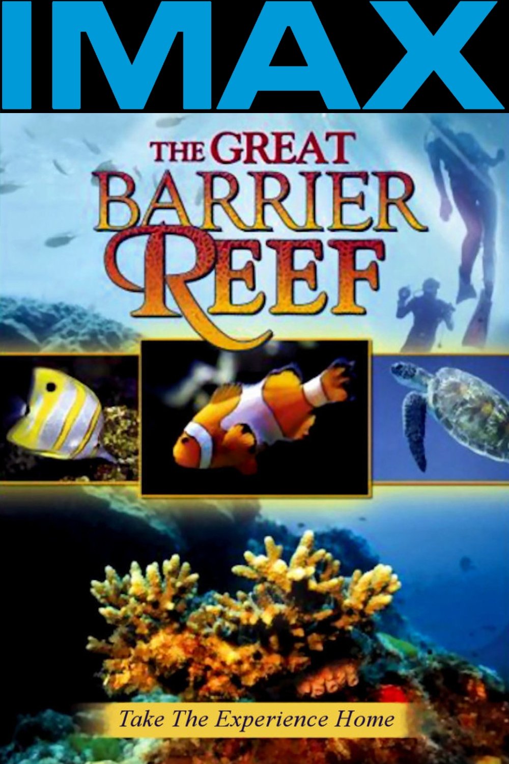 Great Barrier Reef photo