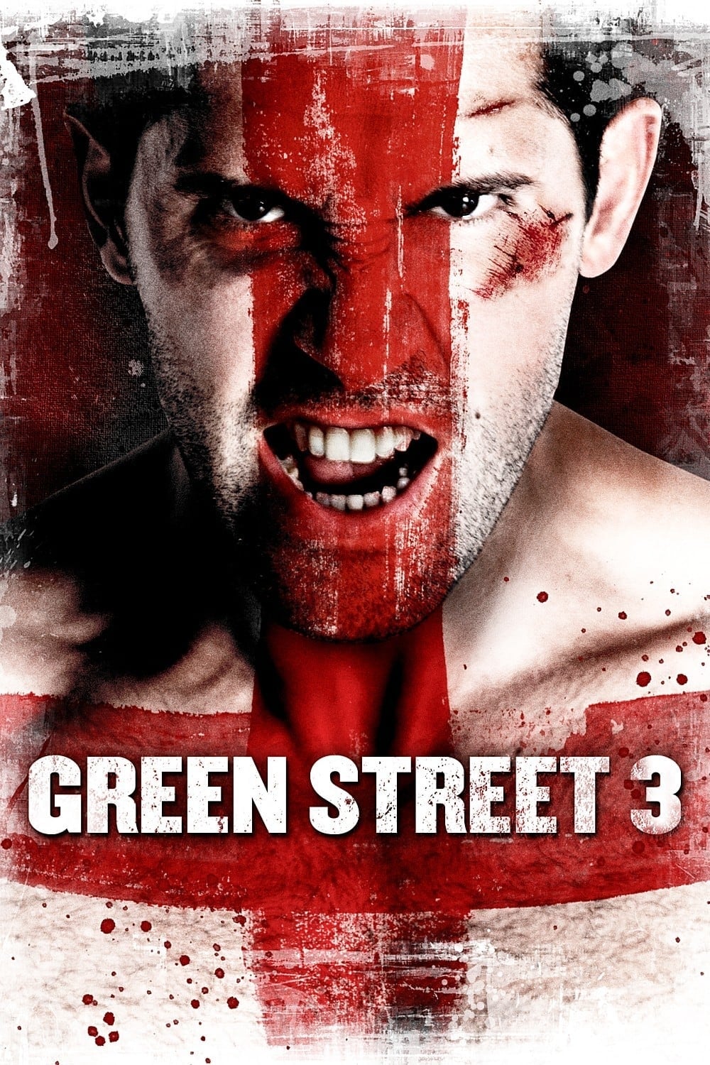 Green Street 3: Never Back Down photo