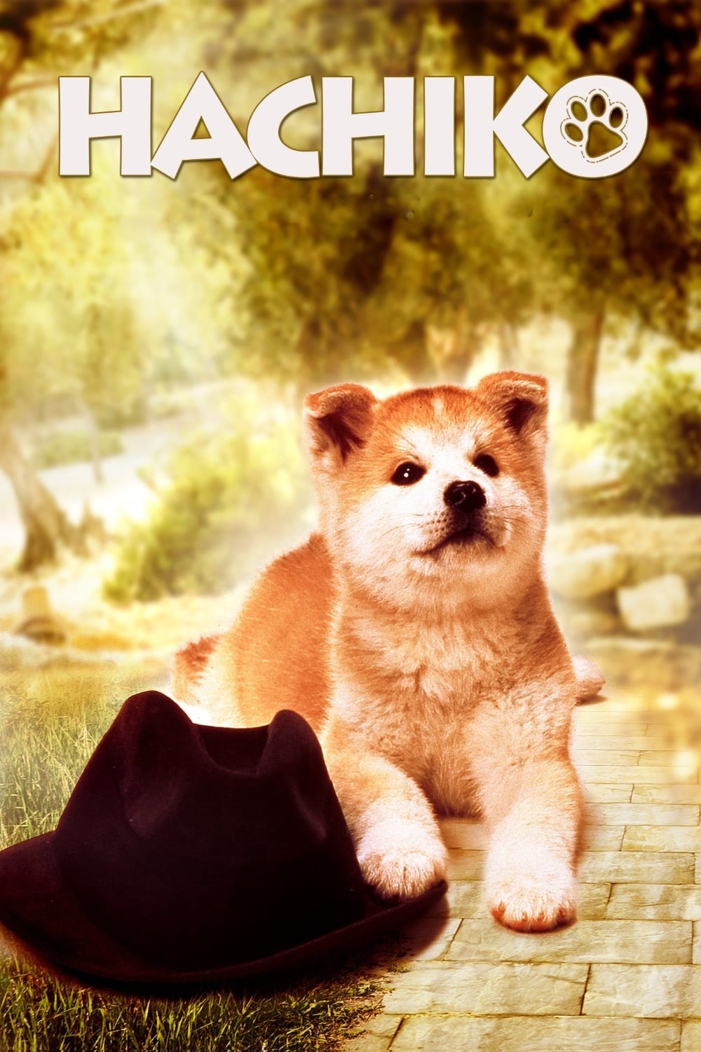 Hachiko photo