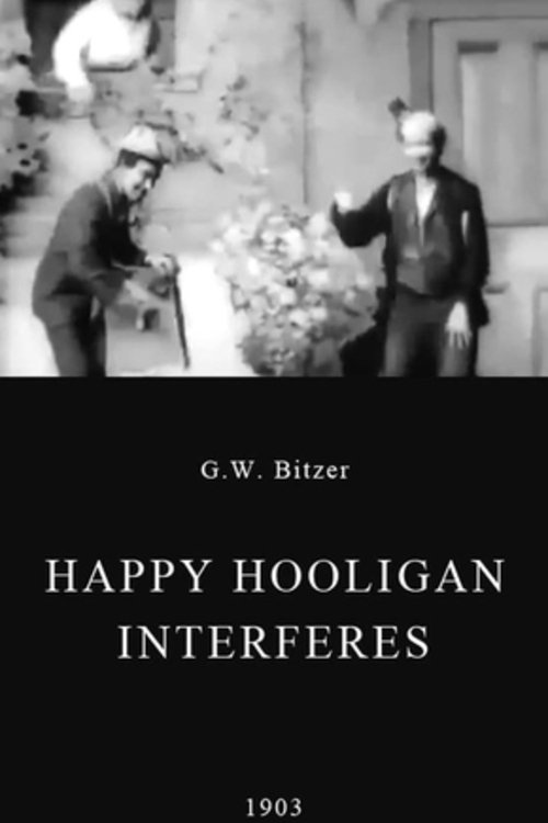 Happy Hooligan Interferes photo