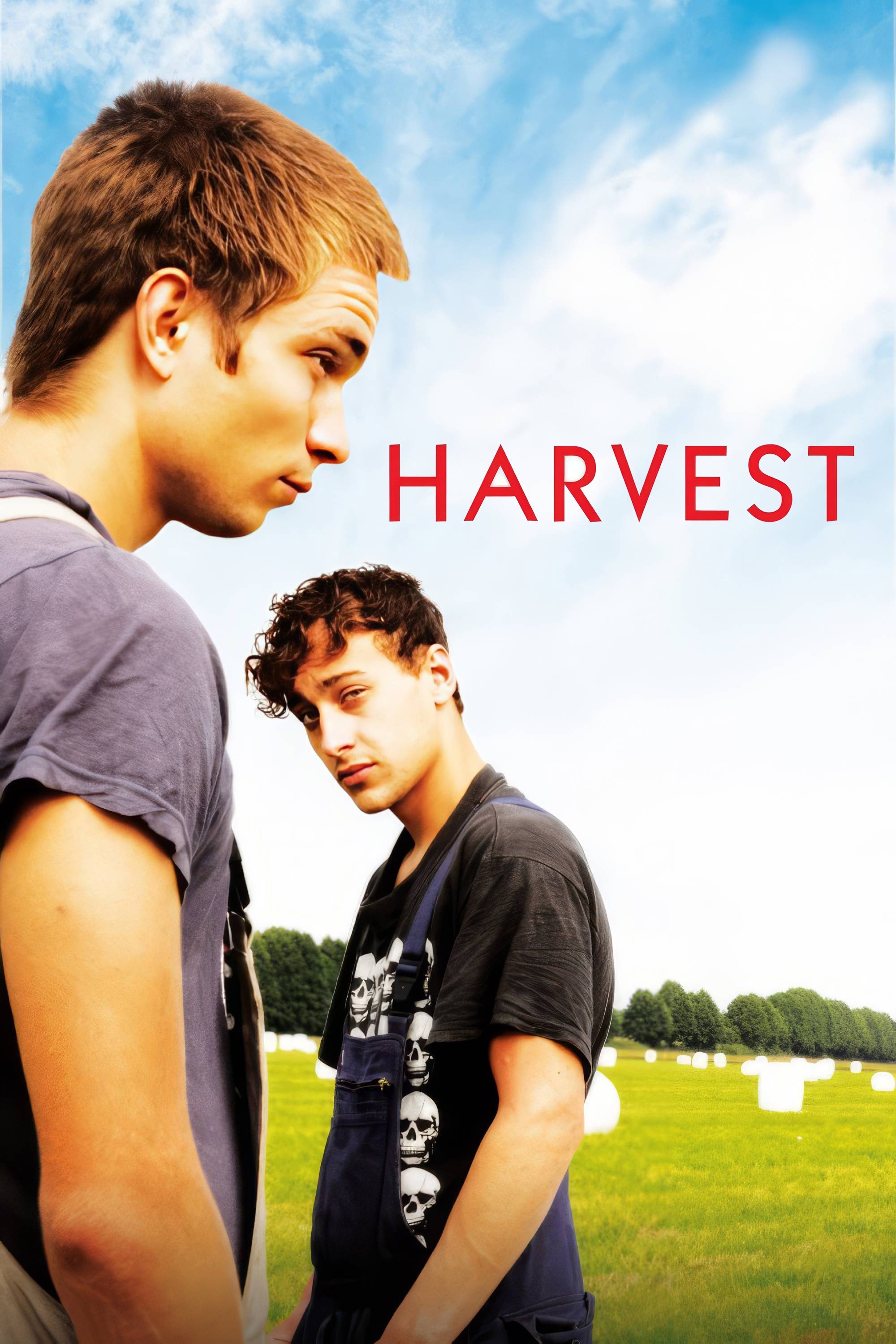 Harvest photo
