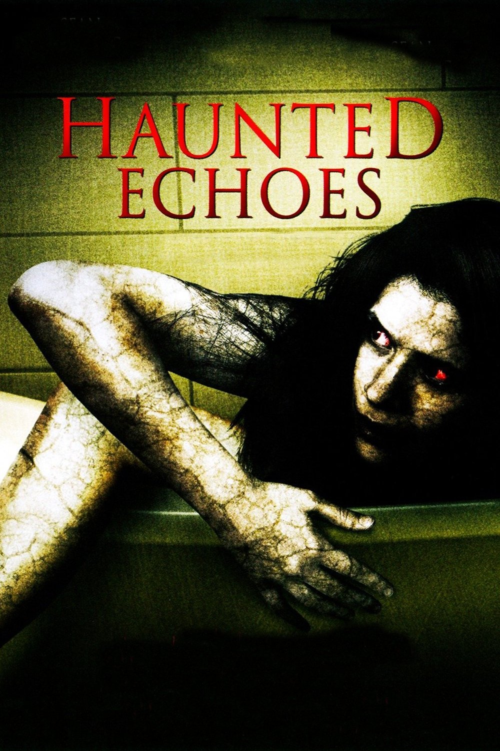 Haunted Echoes photo