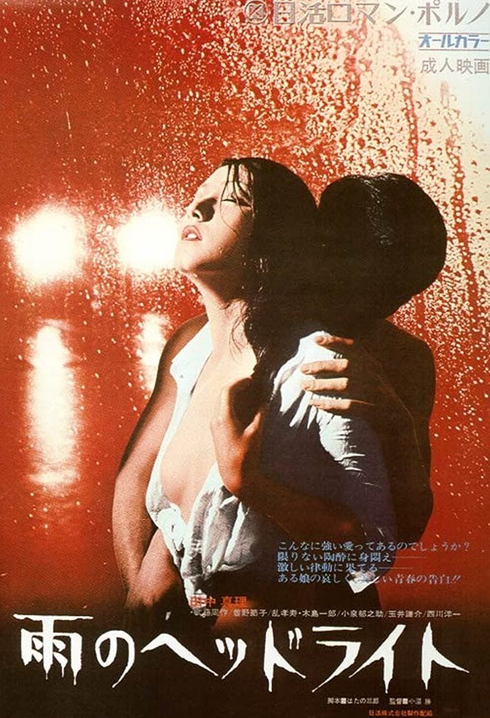 Headlights in the Rain photo