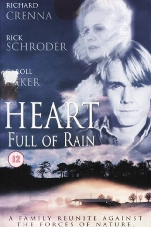 Heart Full of Rain photo