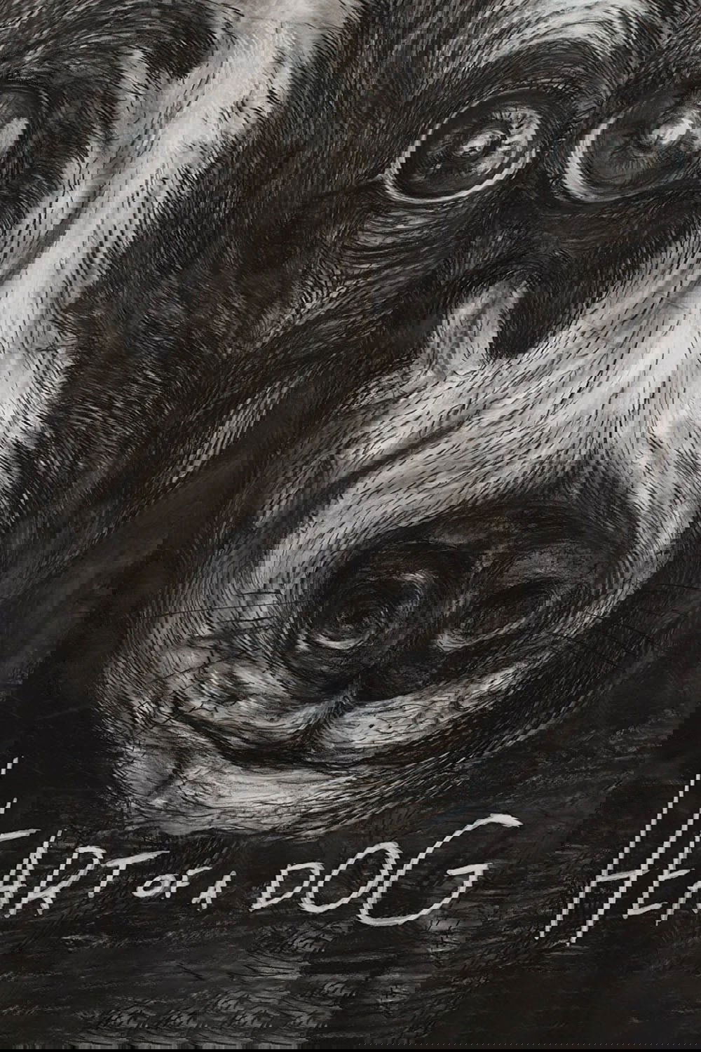 Heart of a Dog photo