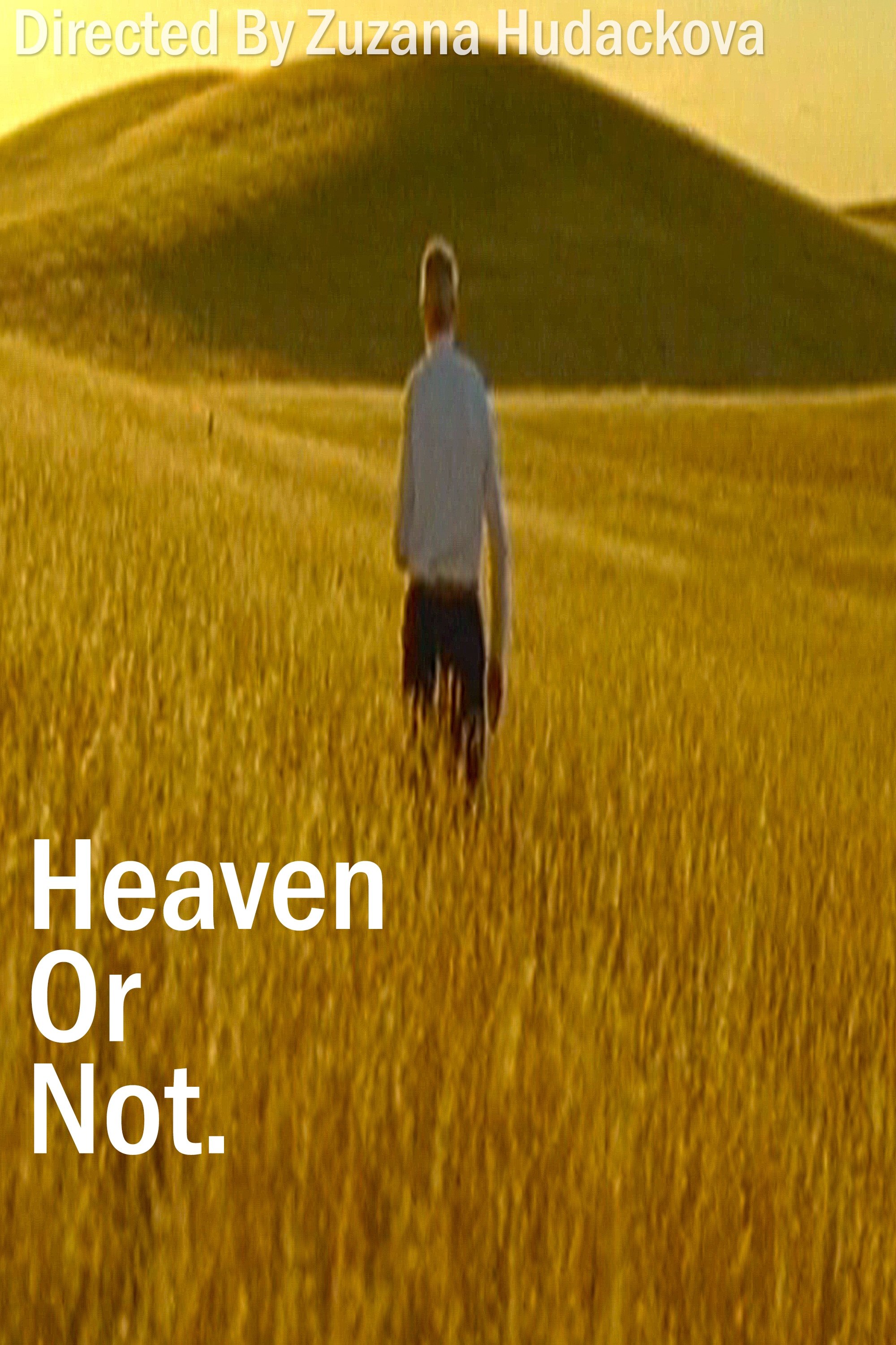 Heaven Or Not photo