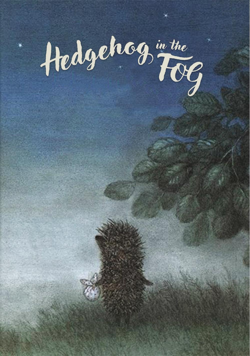 Hedgehog in the Fog photo