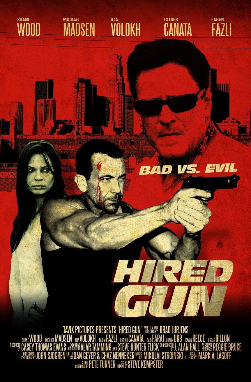 Hired Gun photo