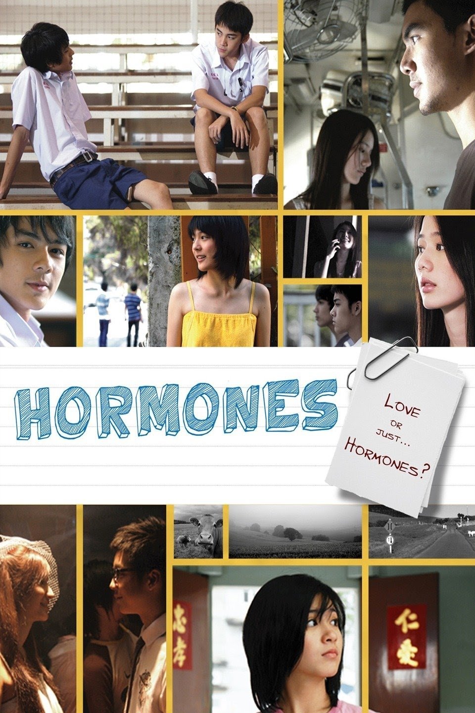 Hormones photo
