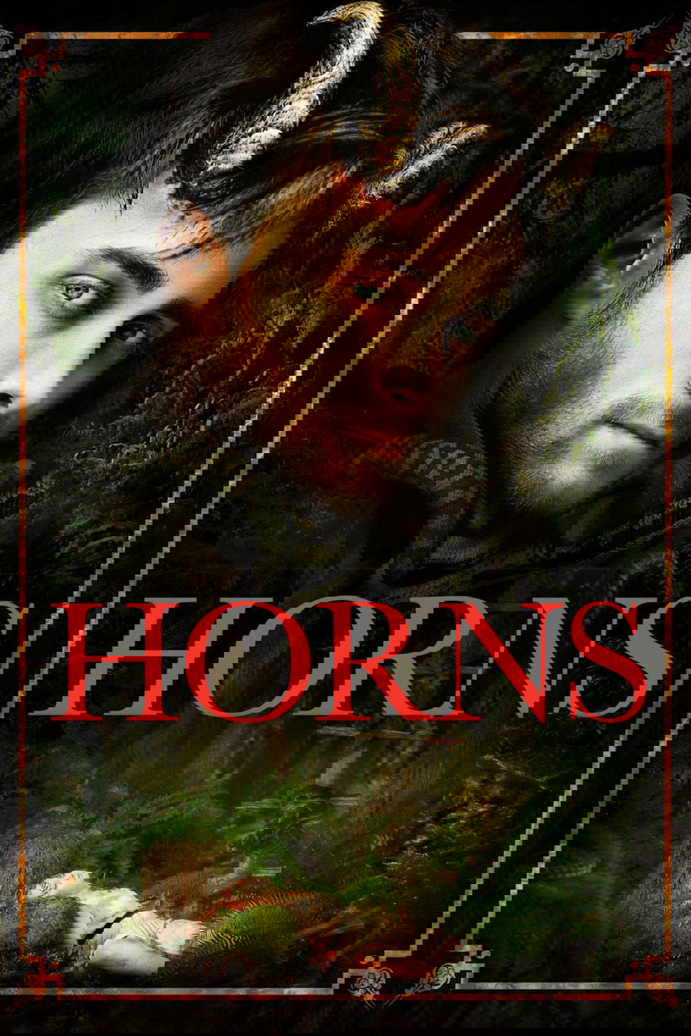 Horns photo