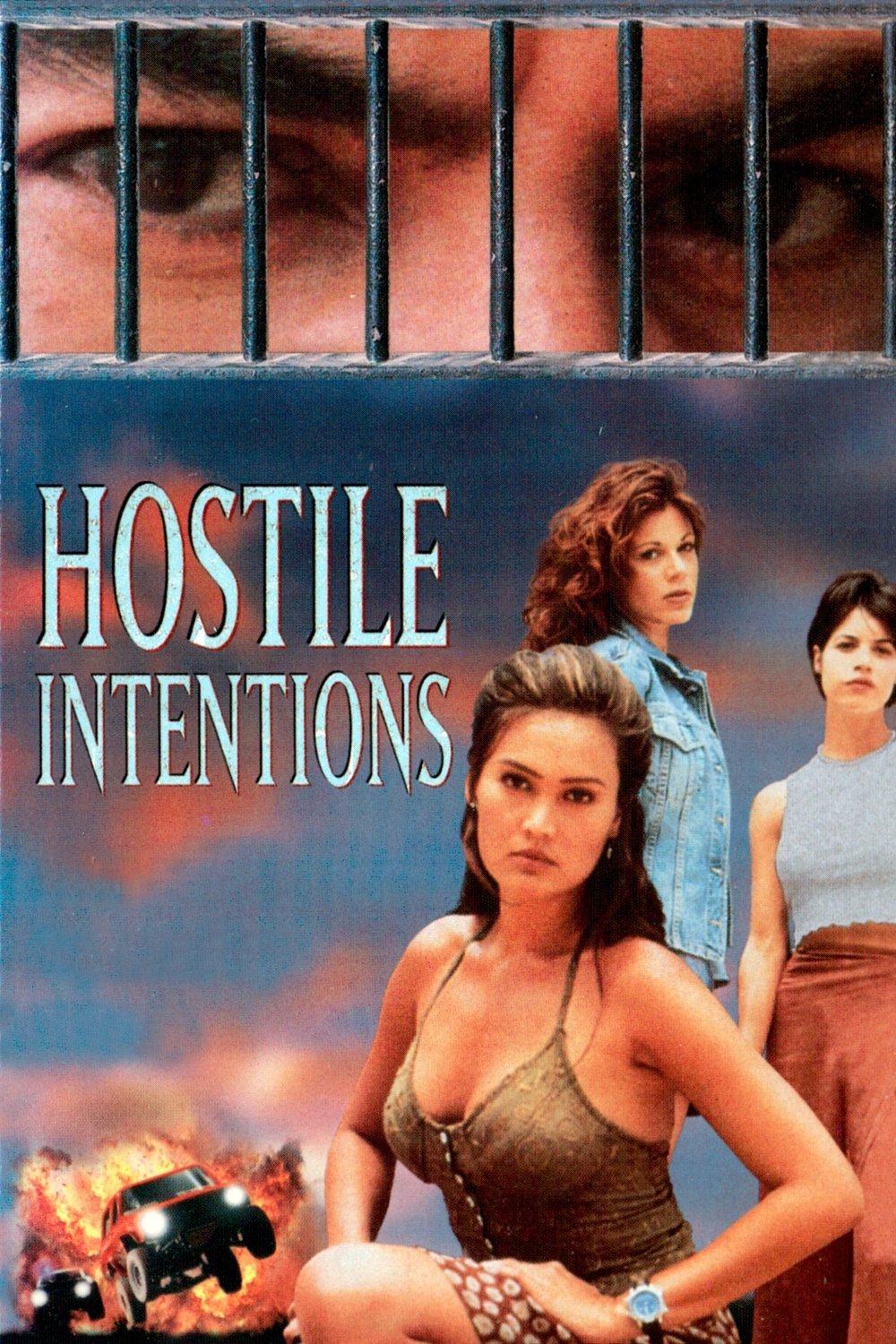 Hostile Intentions photo