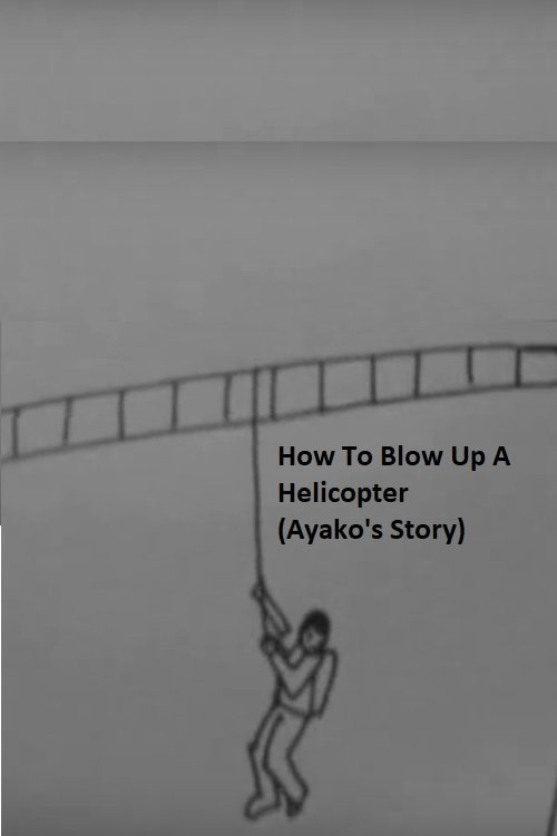 How to Blow Up a Helicopter (Ayako's Story) photo