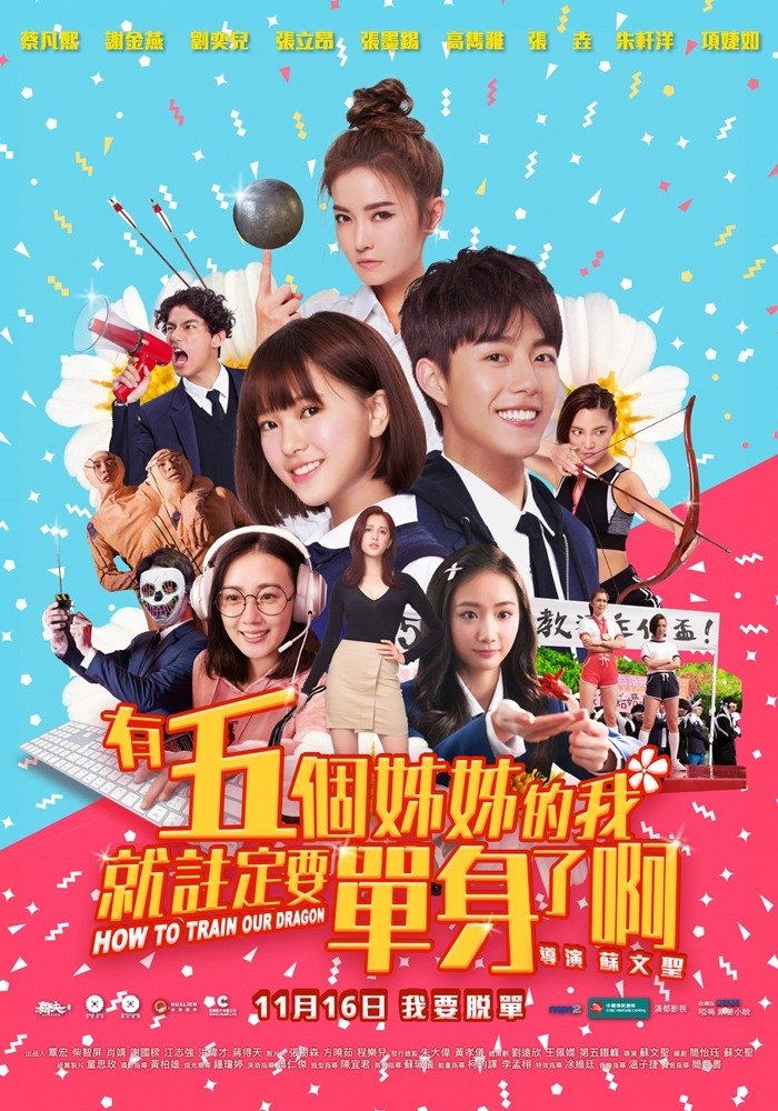 How to Train Our Dragon photo