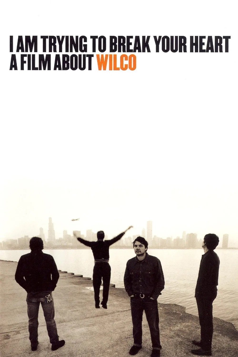 I Am Trying to Break Your Heart: A Film About Wilco photo