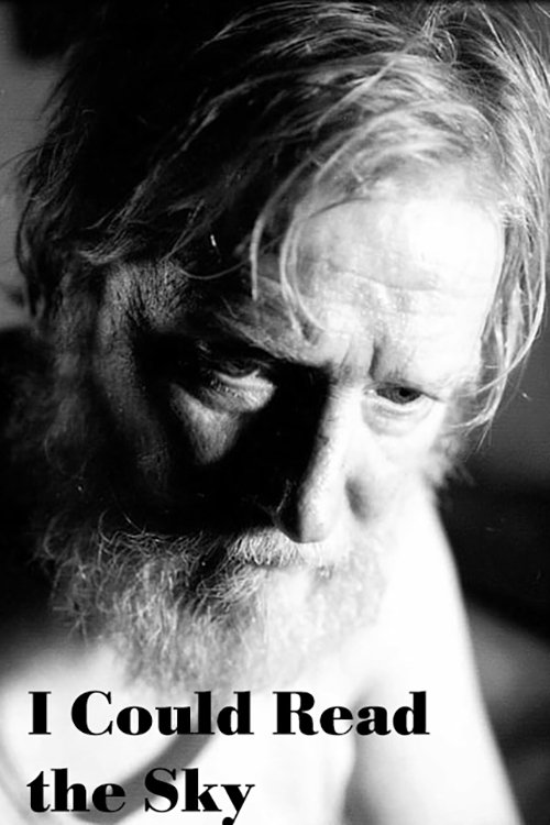 I Could Read the Sky photo