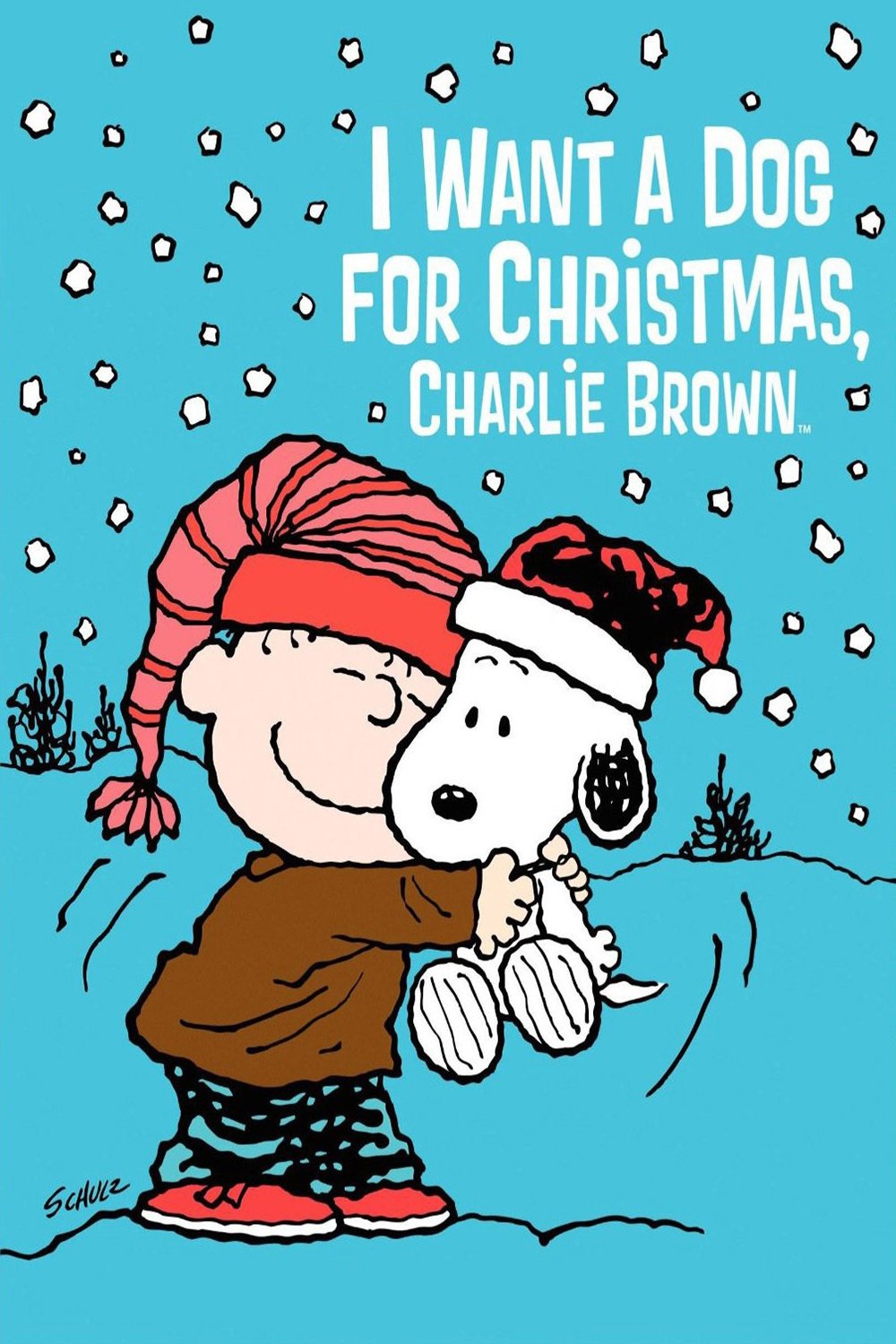 I Want a Dog for Christmas, Charlie Brown photo