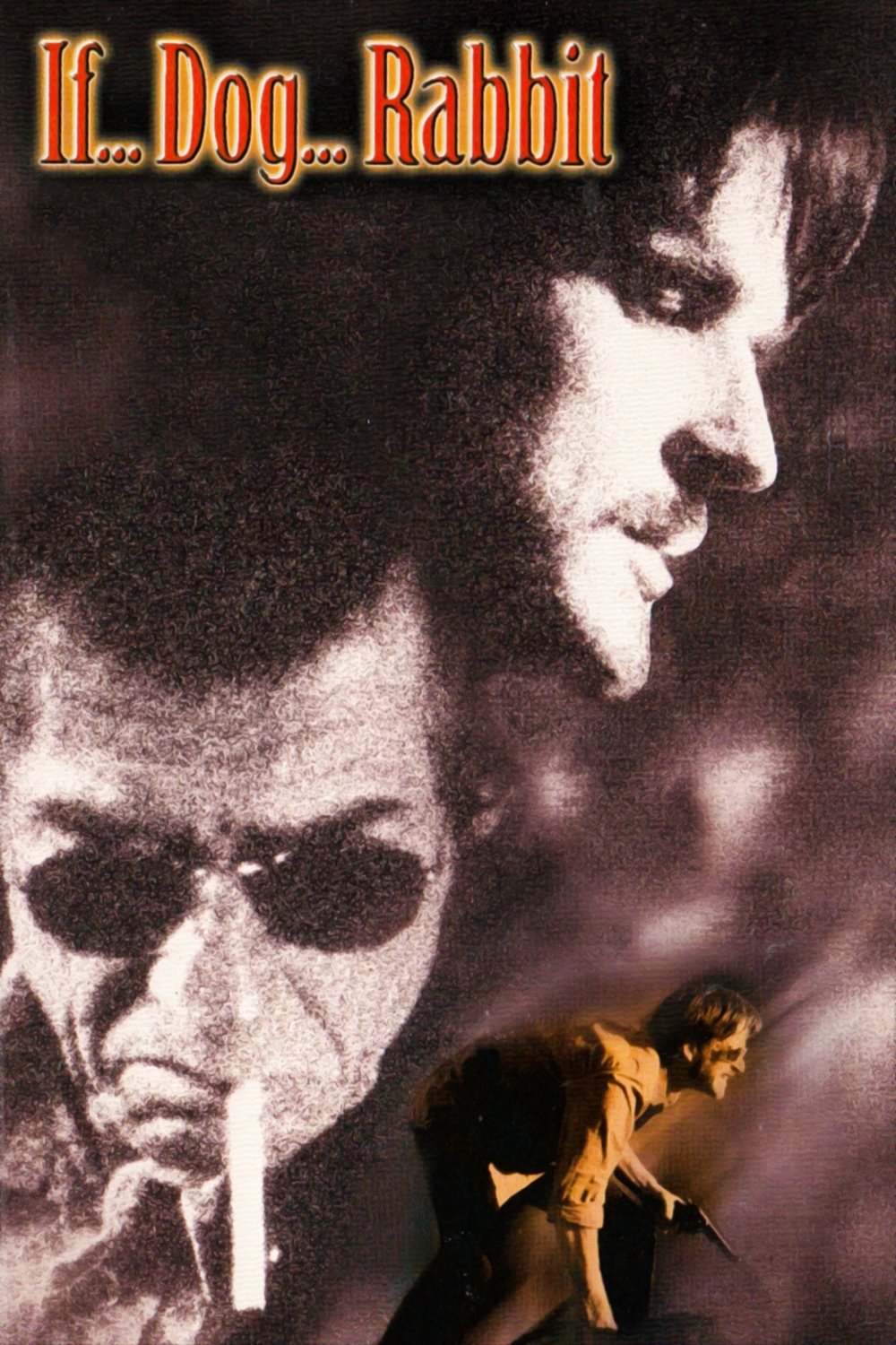 If... Dog... Rabbit photo