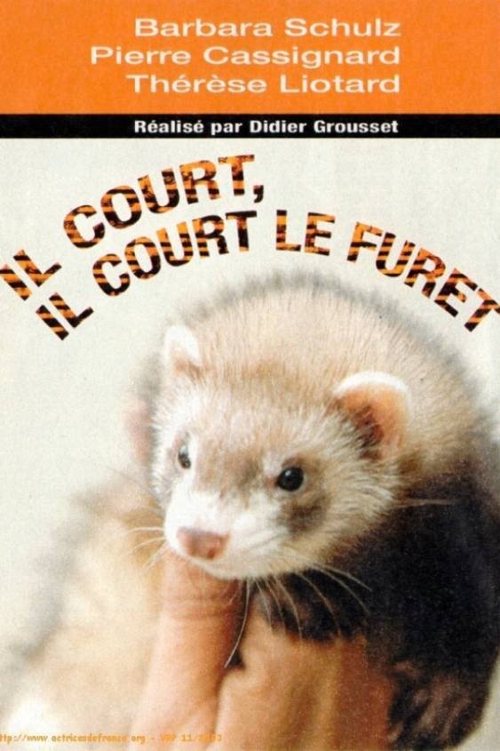 Il court, il court, le furet... photo
