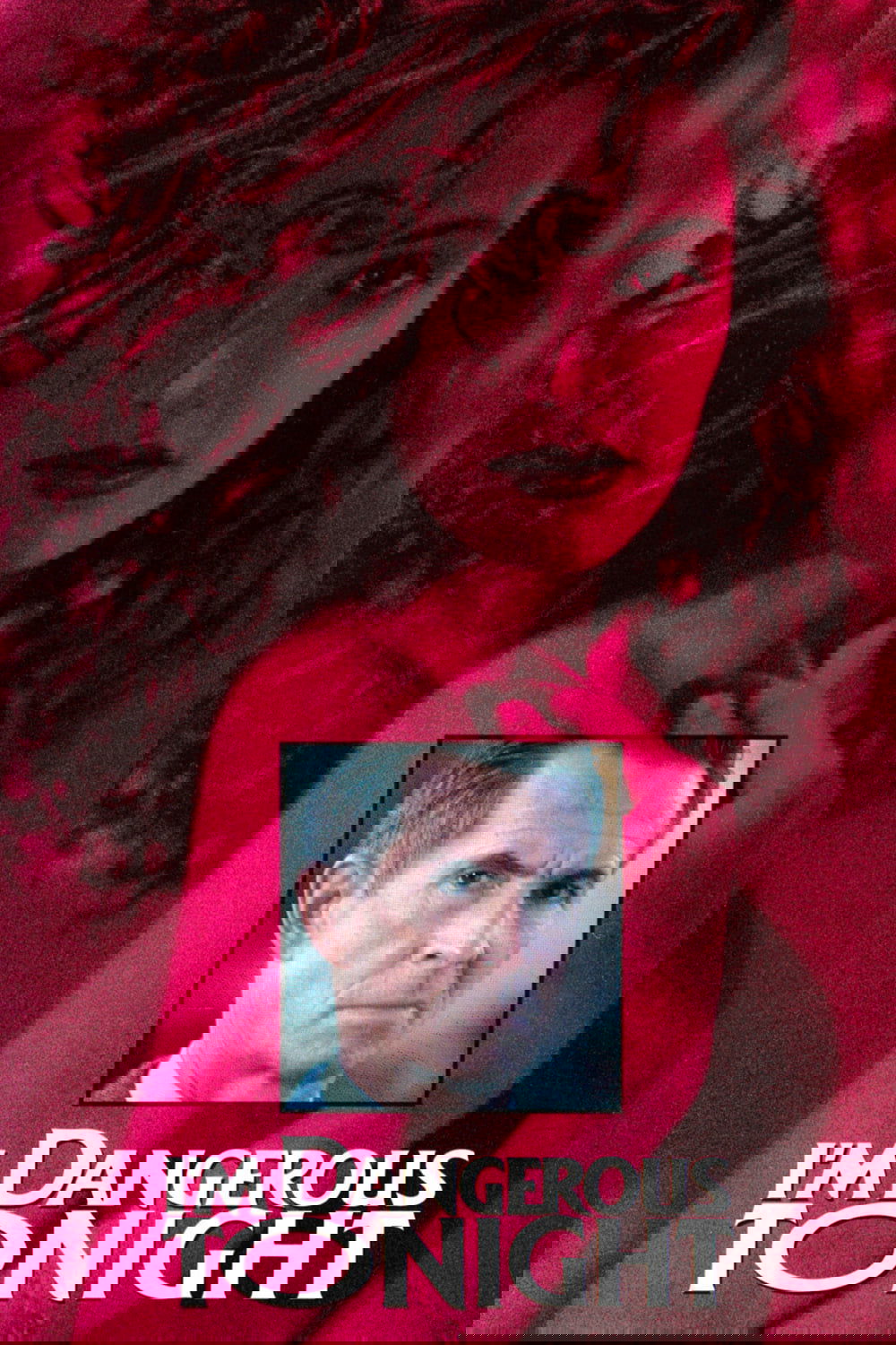 I'm Dangerous Tonight photo